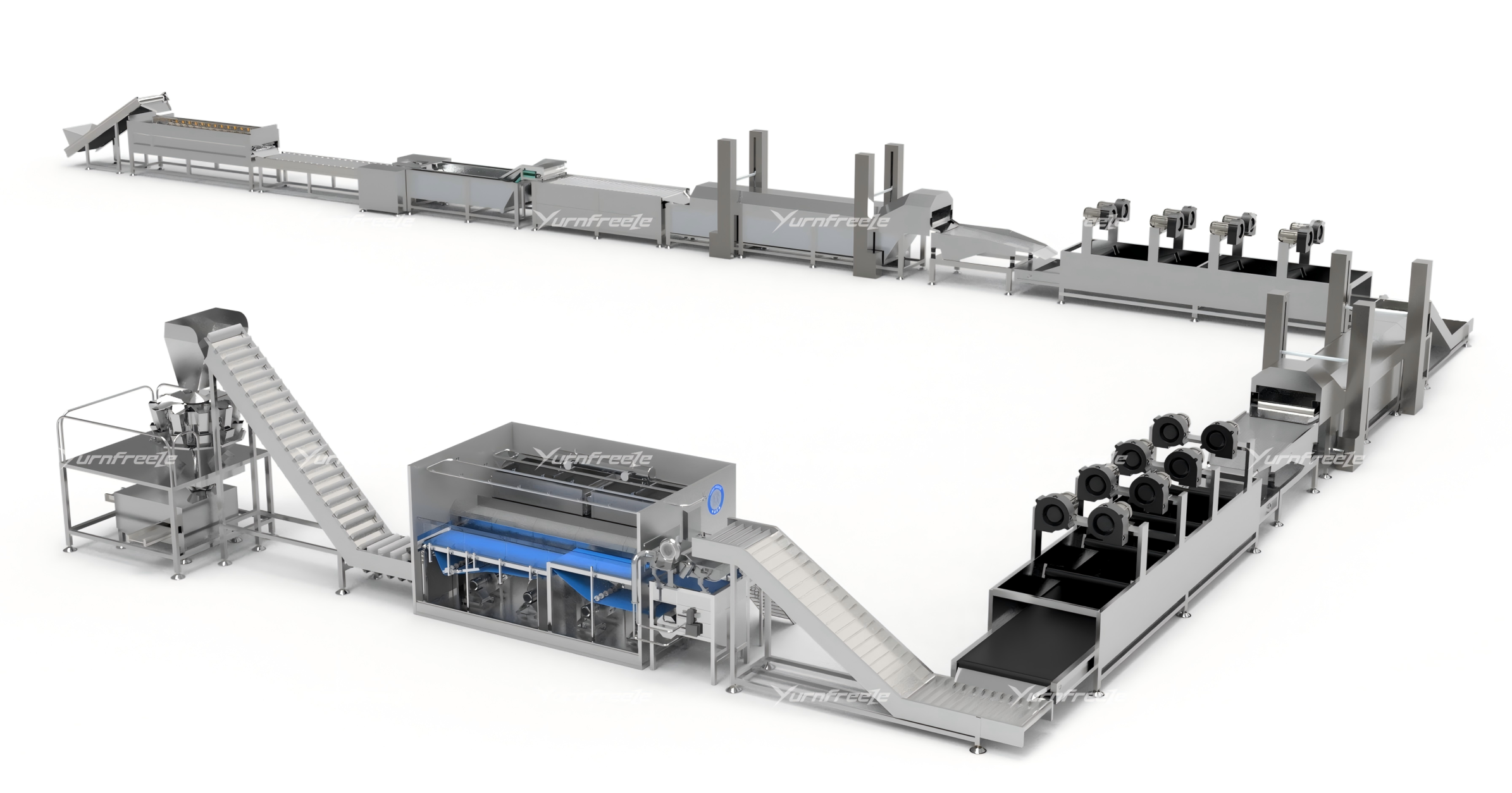 French Fries Processing Line