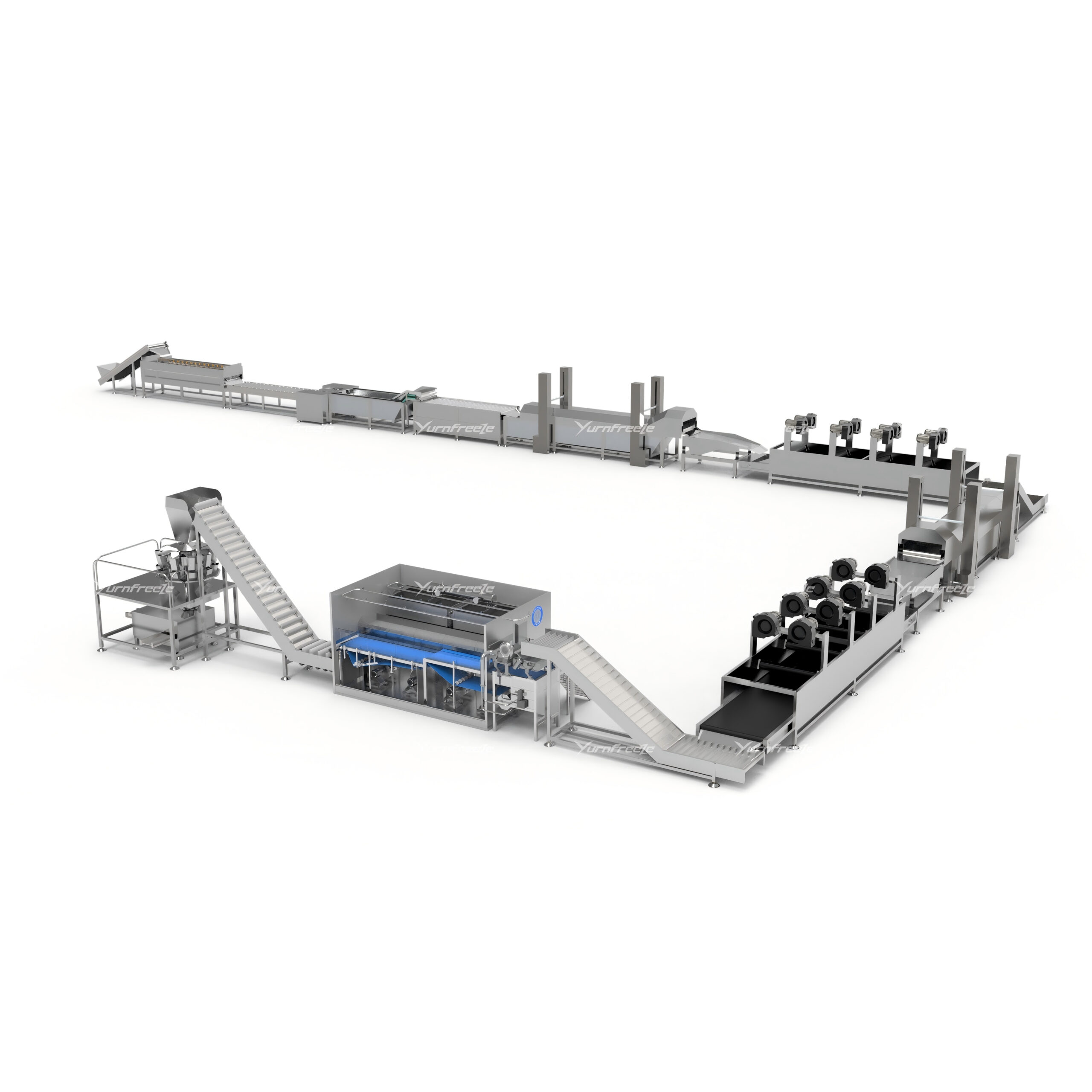 French Fries Processing Line