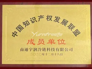 中国知识产权发展联盟