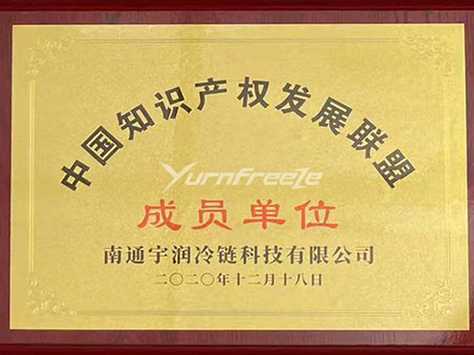 中国知识产权发展联盟