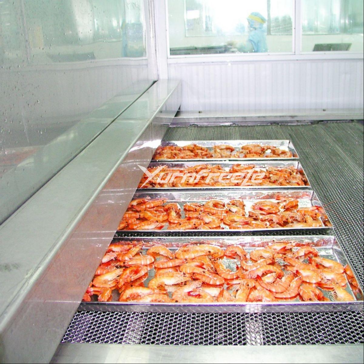Impingement Mesh Belt Tunnel Freezer