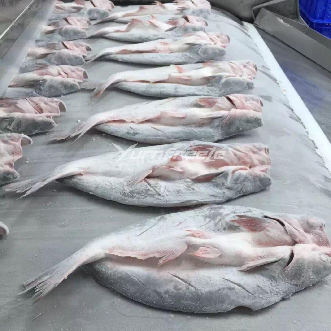 Impingement stainless steel belt tunnel freezer