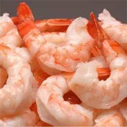 shrimp