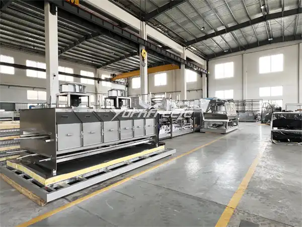 iqf freezer factory