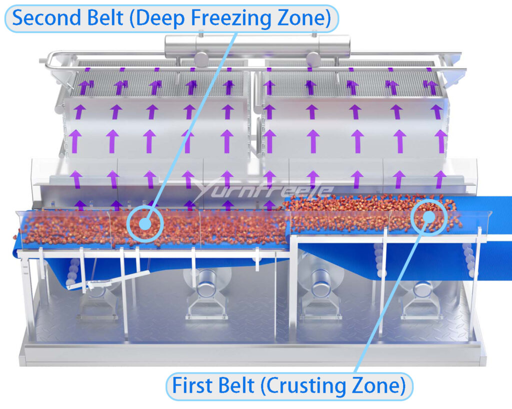fluidized bed freezer air flow