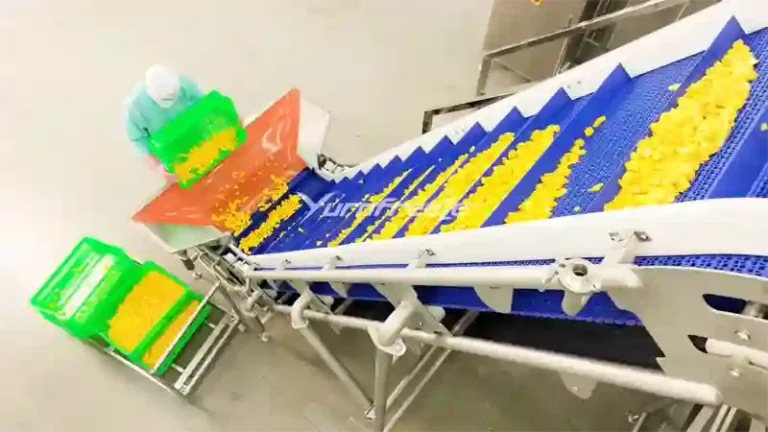Conveyor elevator