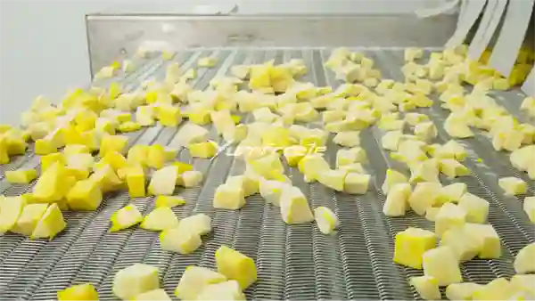Frozen Mango Outfeed