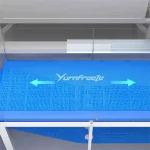 Mesh Belt Vibration