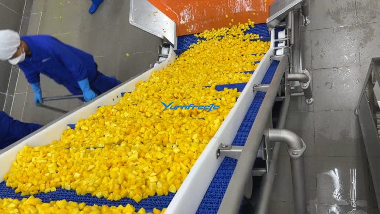 Fluidized Bed freezer IQF mango