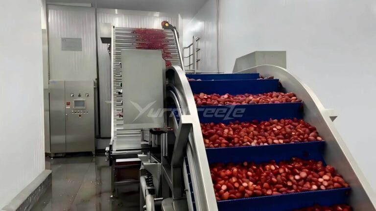 Grupo fluidized bed freezer