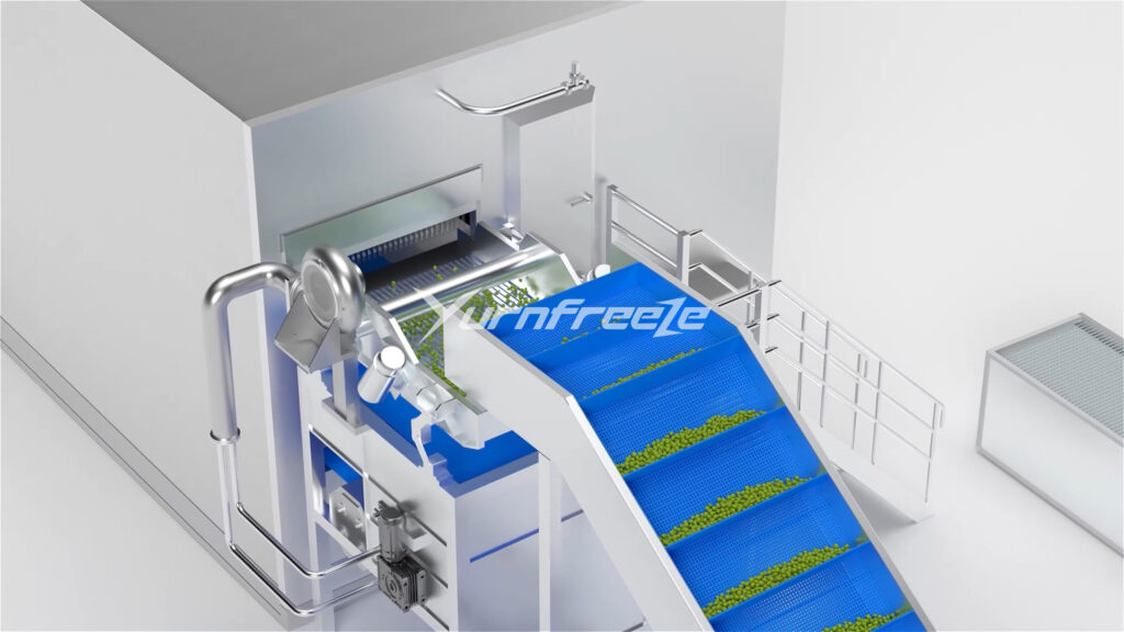 Pea IQF Tunnel freezer infeeding system