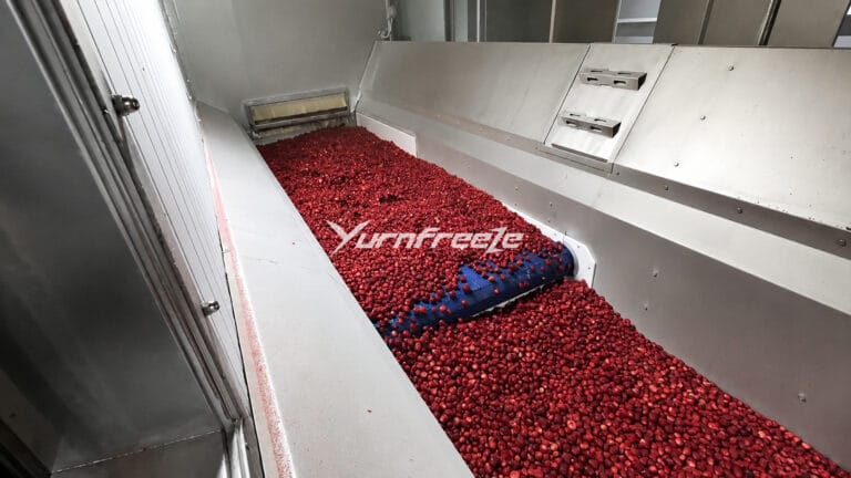 fluidized bed freezer fluidization