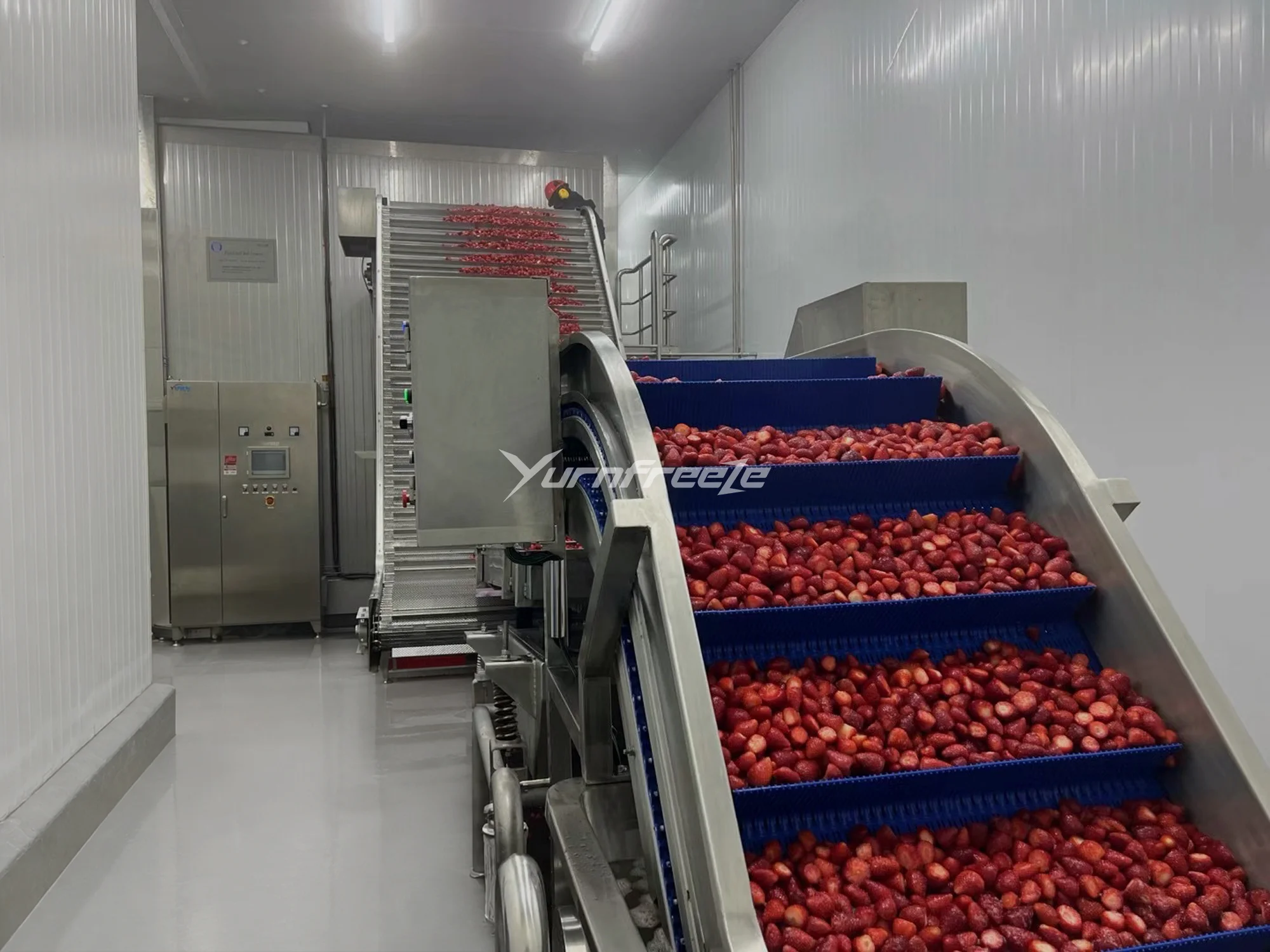 fluidized bed freezer