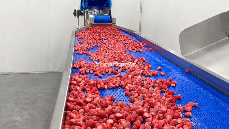 individual quick freezing strawberry