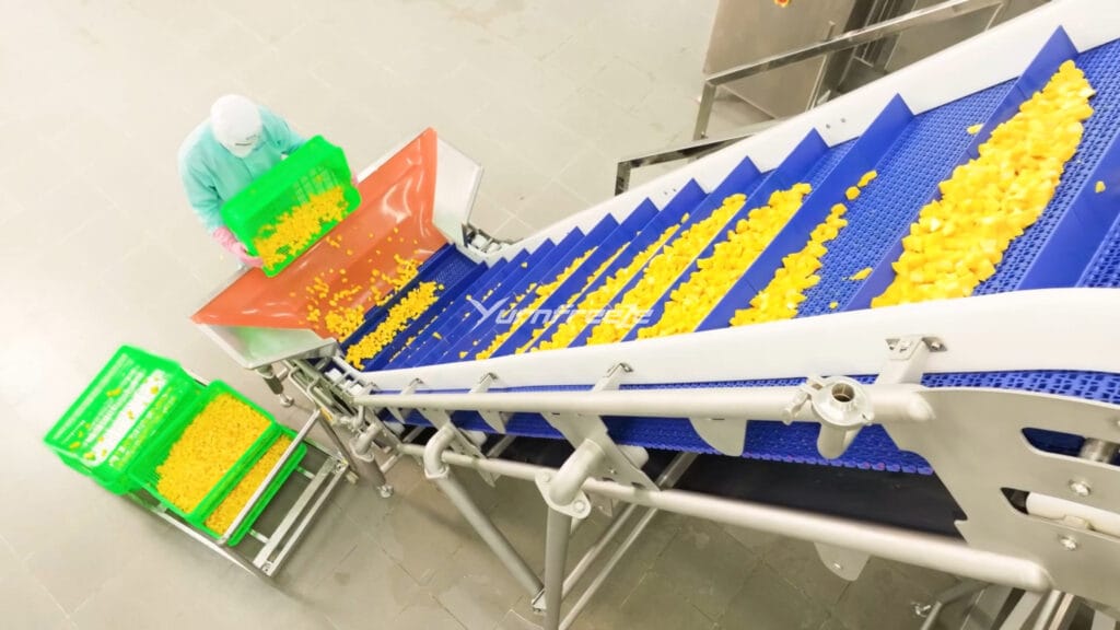 fluidized bed freezer mango