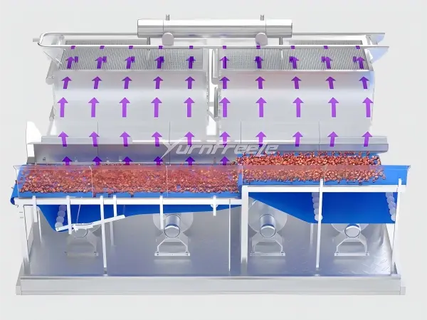 Yurnfreeze Fluidized Bed Freezer Airflow