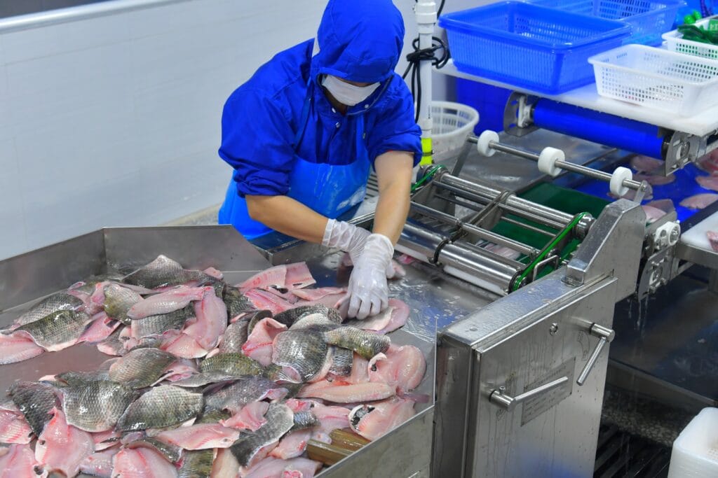 Tunnel Freezer Freezes Fresh Tilapia Fillets