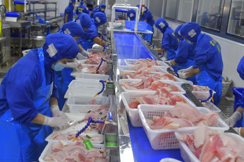 Mesh Belt Tunnel Freezer Assembly Line