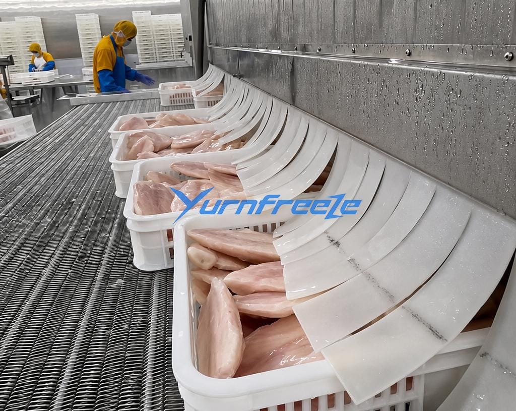 Freezing Tilapia Fillets With Mesh Belt Tunnel Freezer