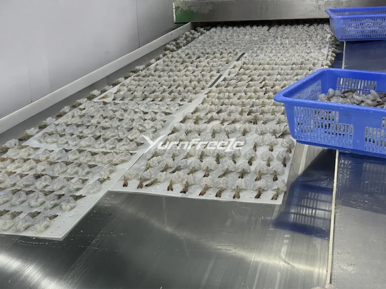 Plate Belt Tunnel Freezer Frozen Shrimp
