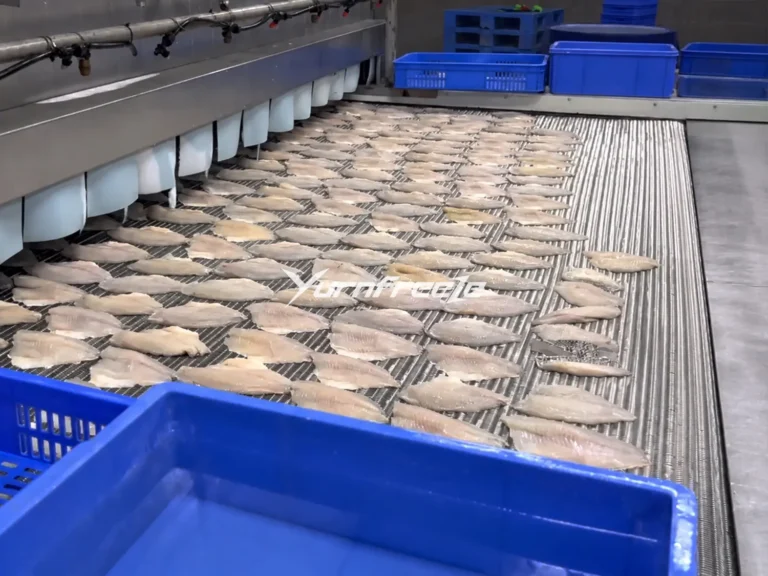 Mesh Belt Tunnel Freezer Frozen Fillets