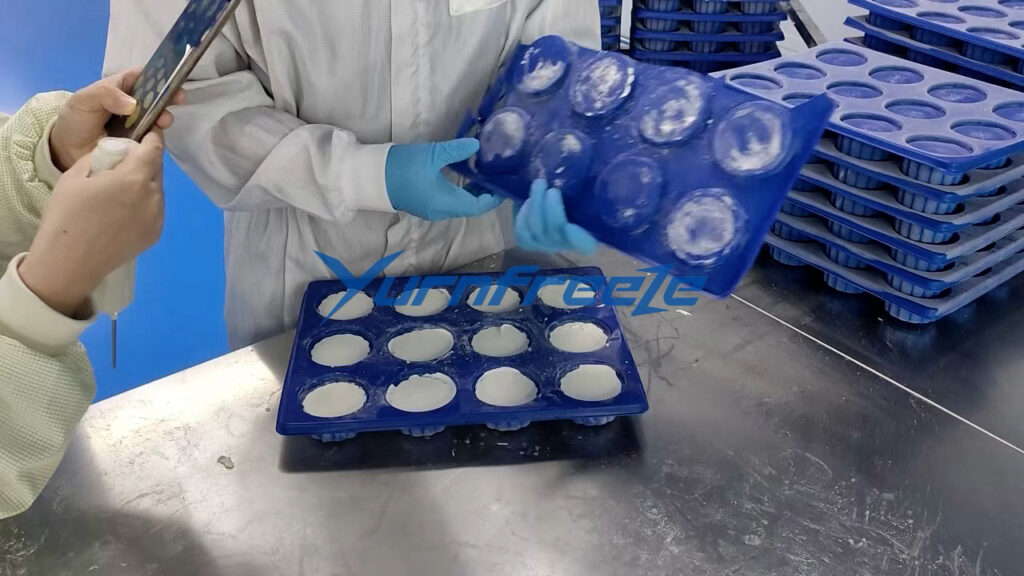 Spiral Freezer for cakes processing