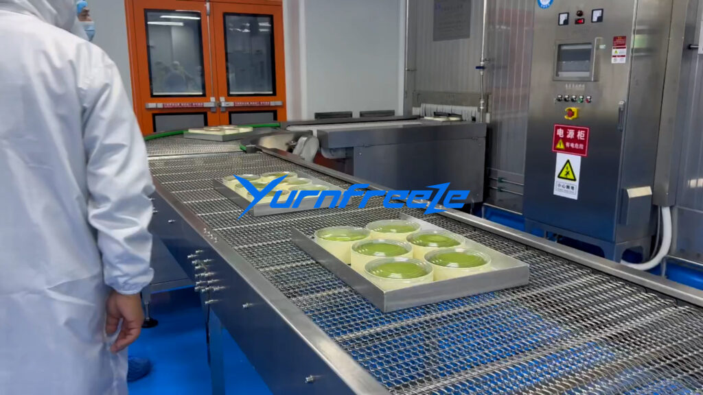Spiral Freezer for Bakery Cake