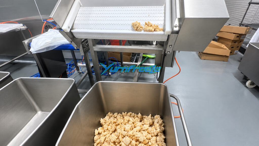 Spiral Freezer Frozen fried chicken pieces outlet