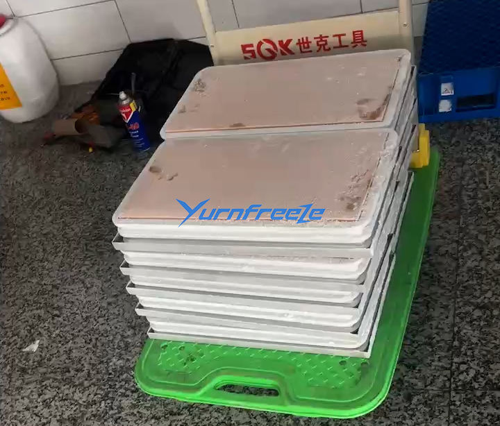 frozen chicken block
