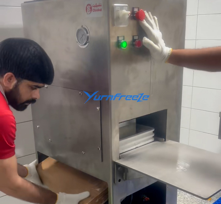 Plate freezer demolding machine
