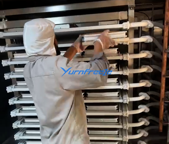 plate freezer for chicken