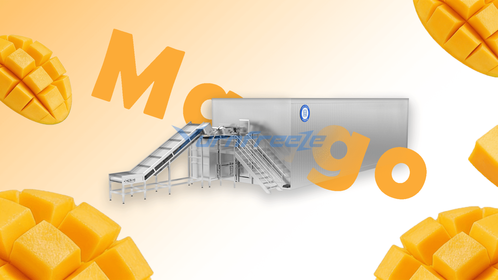 Fluidized Bed Freezer Mango