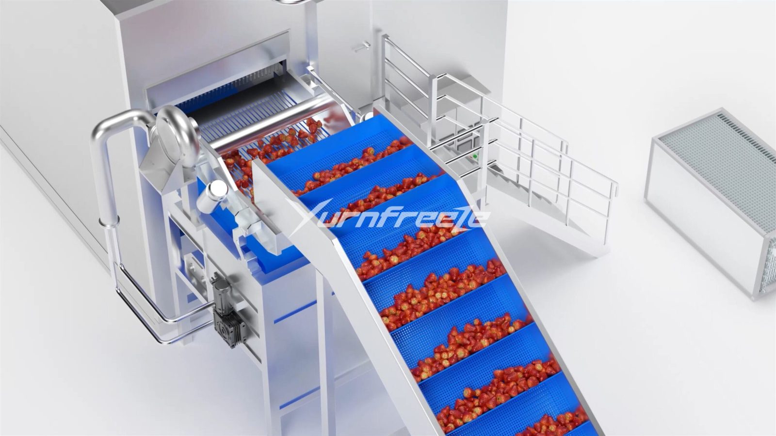 strawberry fluidized bed freezer infeeding system